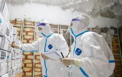 德茵菲科 低温环境下的有效消杀防疫，守护水产品冷冻冷藏安全