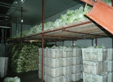 杭州食品冷库 水产品冷链安全的守护者