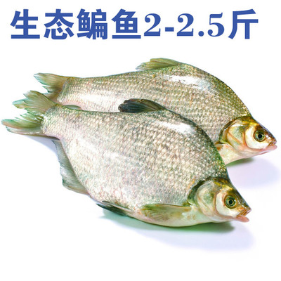 联华易购OK卡 精选生鲜冷冻冷藏海鲜水产，鲜美直达您的餐桌