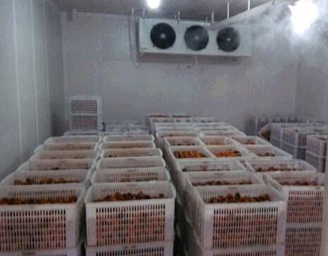 郑州保鲜冷库出租 水产品冷库租赁